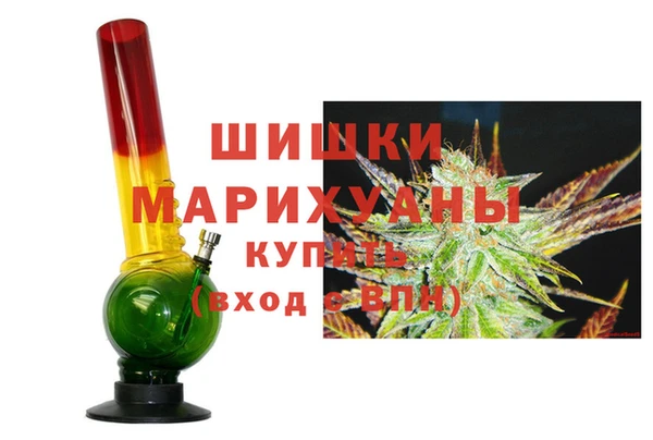 прущие грибы Богородск