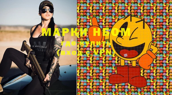 spice Богородицк