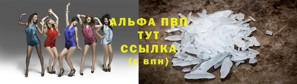 spice Богородицк