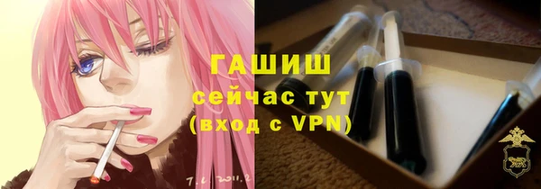 spice Богородицк