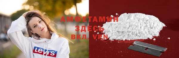 spice Богородицк