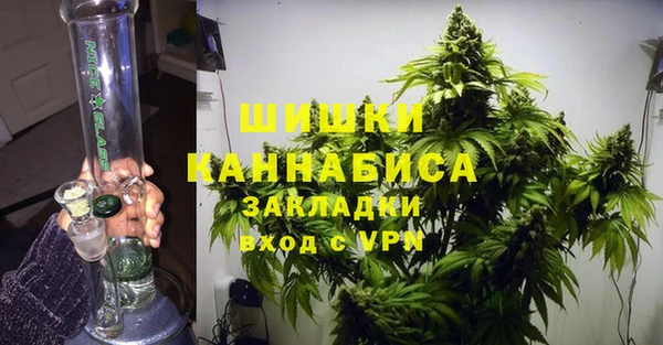spice Богородицк