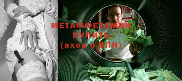прущие грибы Бронницы