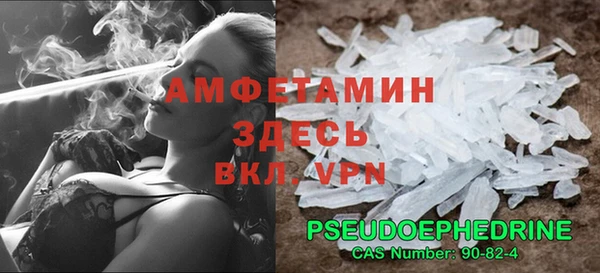 spice Богородицк