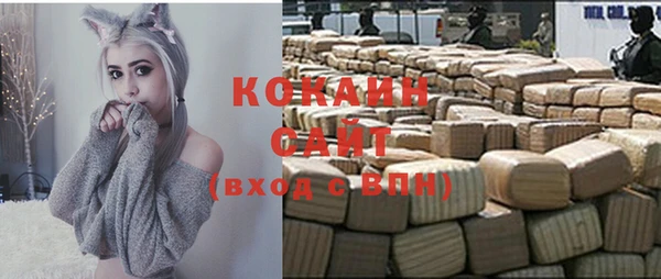 прущие грибы Бронницы