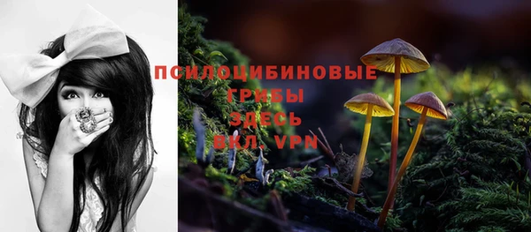 прущие грибы Бронницы