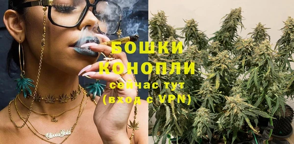 прущие грибы Богородск